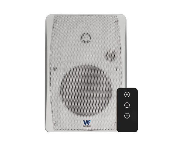 WL601B 网络音箱